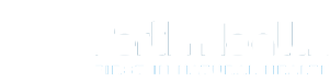 Logo large